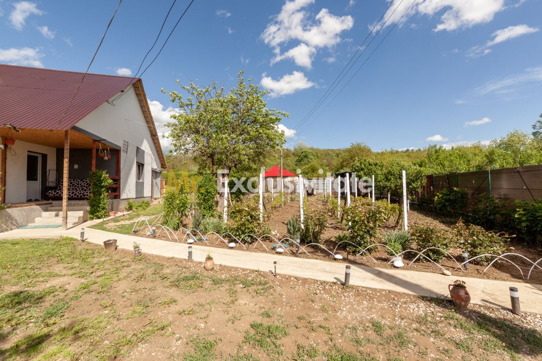 Casă renovată 2022, 3 camere, 1034 mp teren, încălzire în pardoseală — fotografia 19