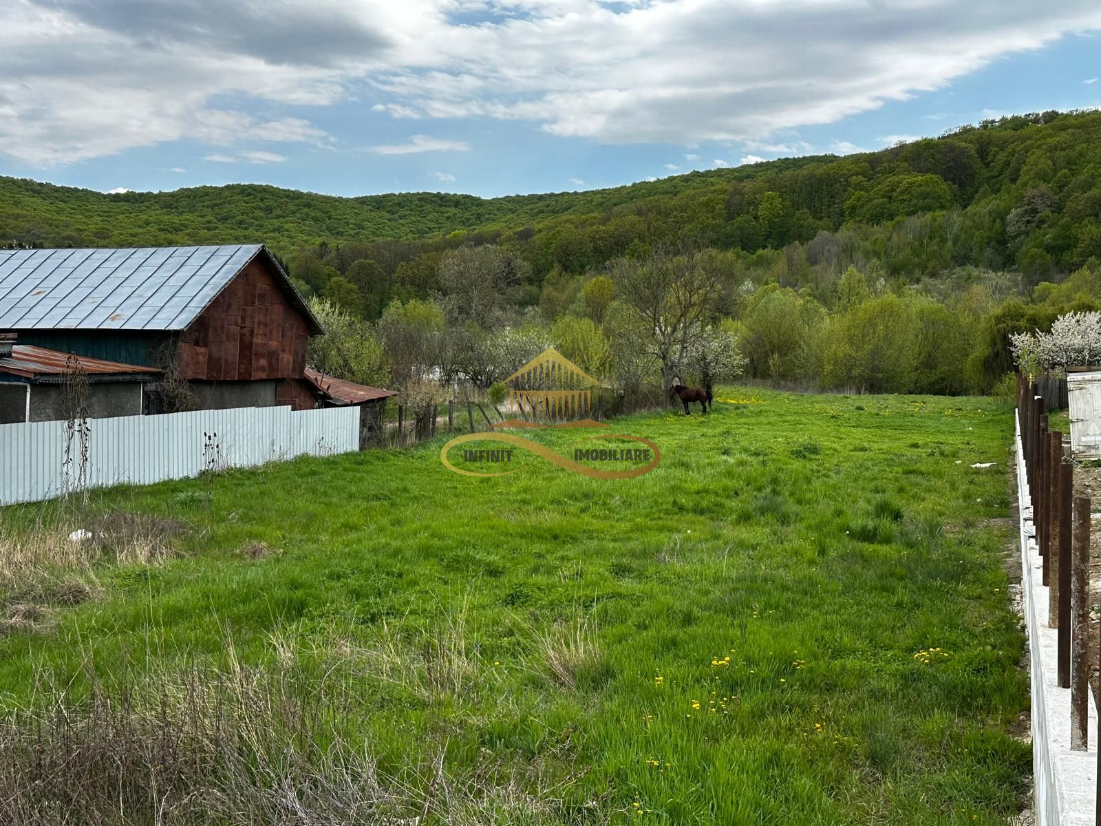 Teren intravilan de vanzare 2900 mp Luncani Bacau — fotografia 4