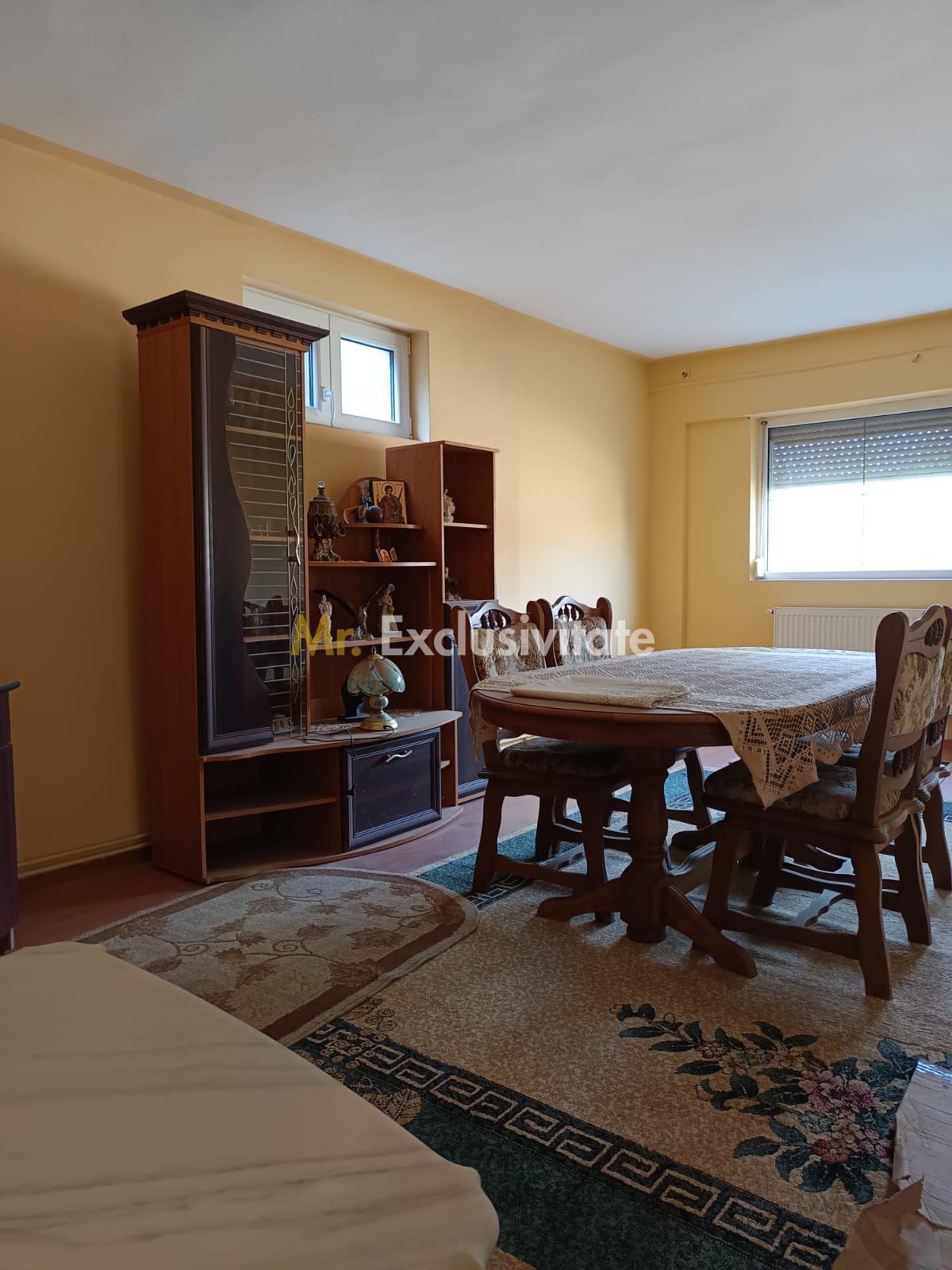 Vilă P+E de vânzare în Valea lui Mihai – 233 mp, teren 733 mp — fotografia 10