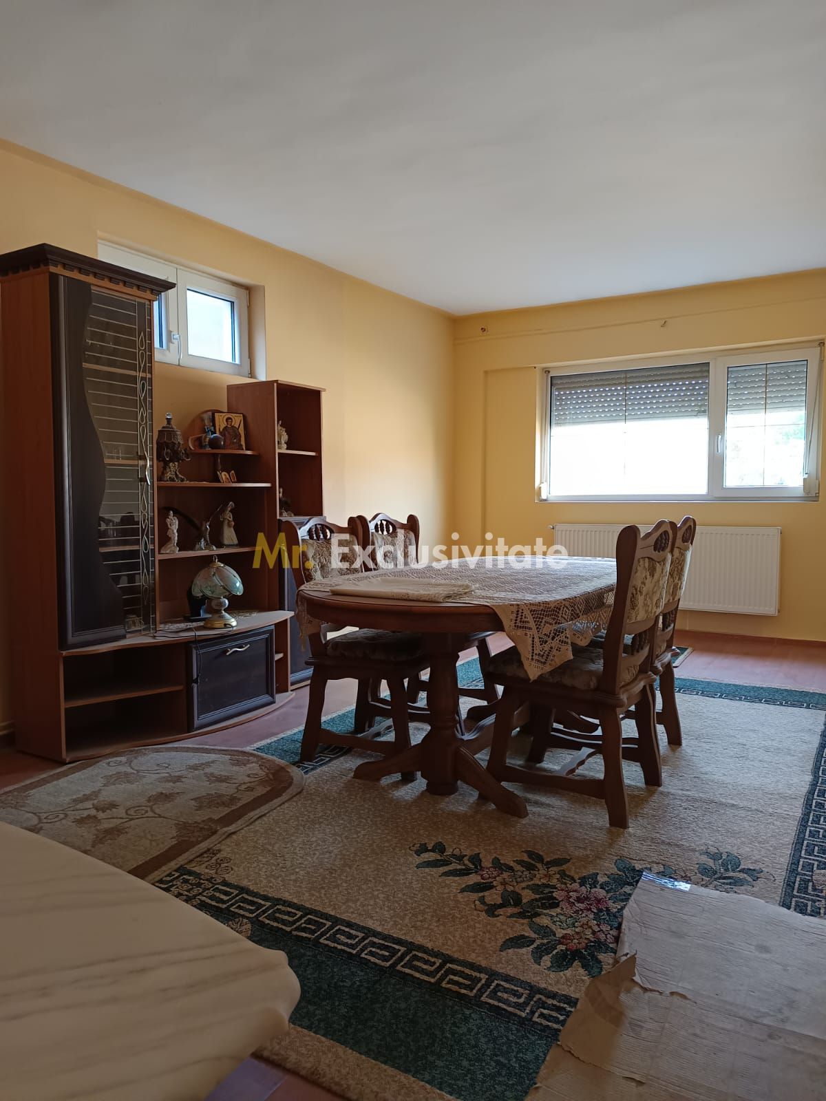 Vilă P+E de vânzare în Valea lui Mihai – 233 mp, teren 733 mp — fotografia 12