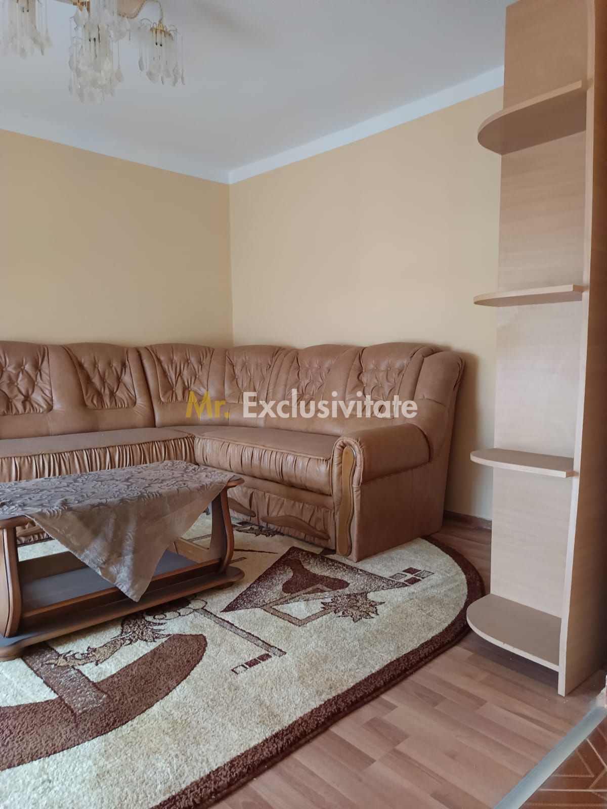 Vilă P+E de vânzare în Valea lui Mihai – 233 mp, teren 733 mp — fotografia 21
