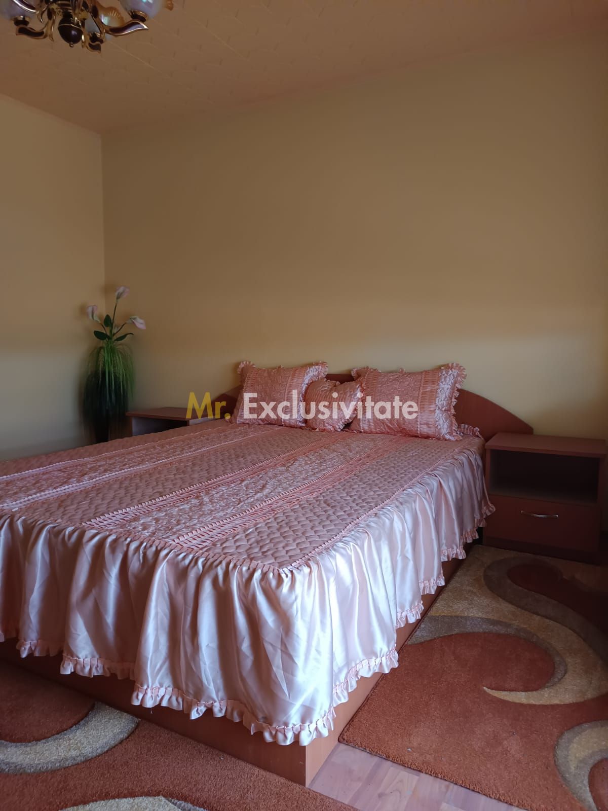 Vilă P+E de vânzare în Valea lui Mihai – 233 mp, teren 733 mp — fotografia 22