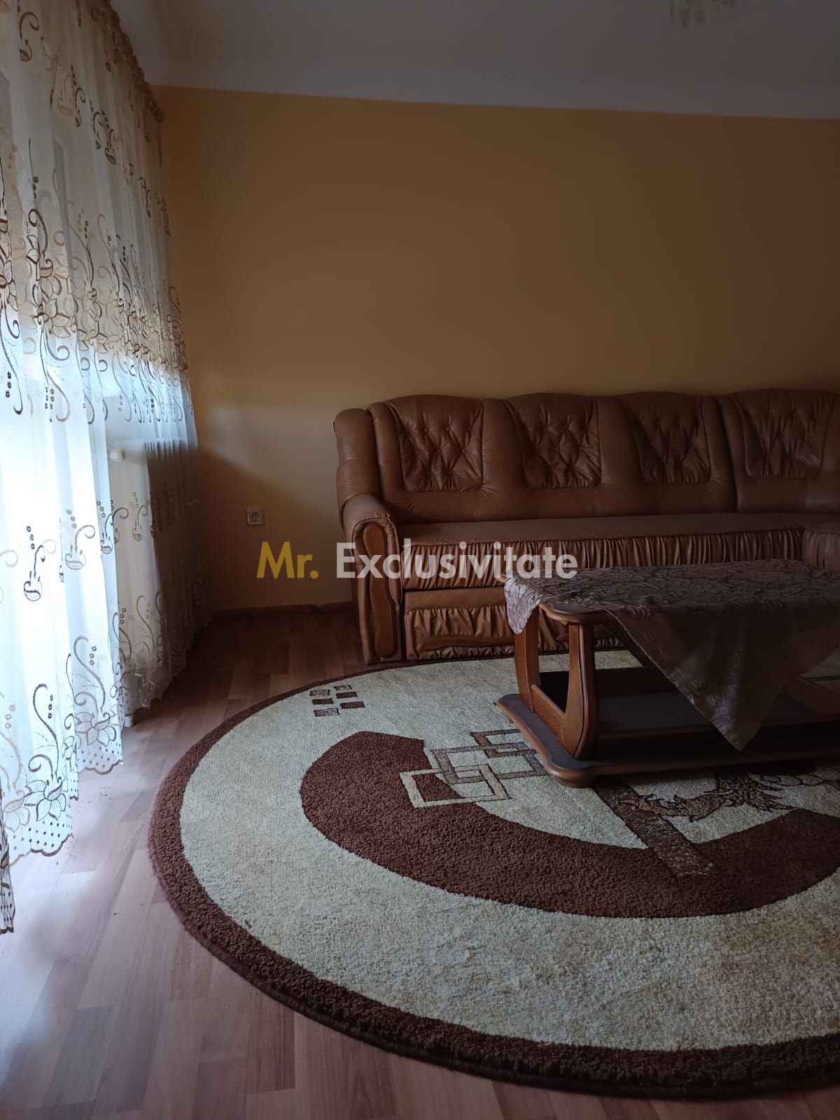 Vilă P+E de vânzare în Valea lui Mihai – 233 mp, teren 733 mp — fotografia 24
