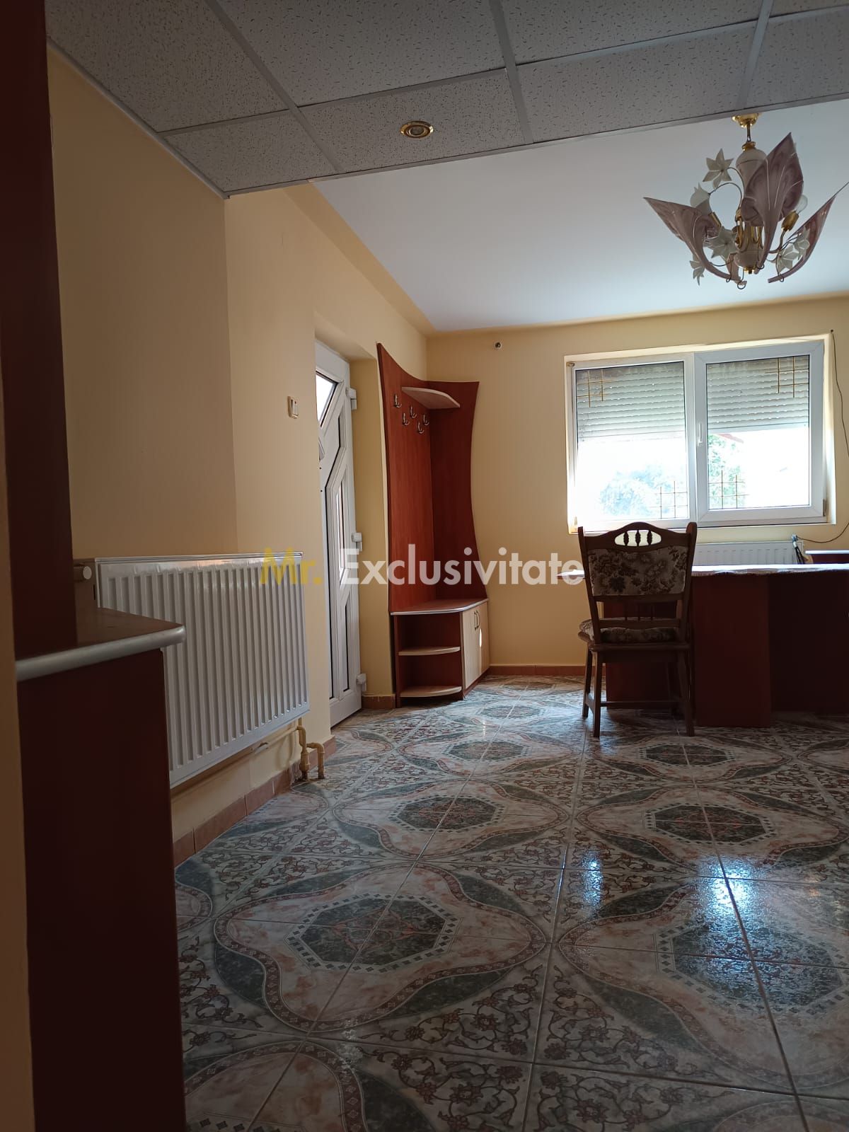 Vilă P+E de vânzare în Valea lui Mihai – 233 mp, teren 733 mp — fotografia 27