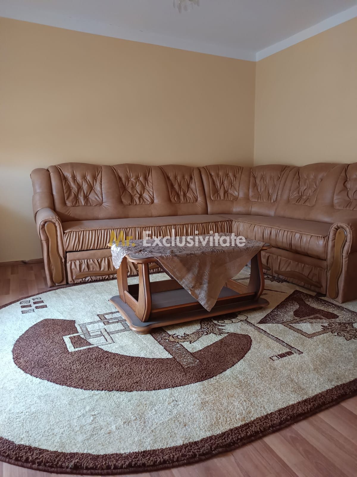 Vilă P+E de vânzare în Valea lui Mihai – 233 mp, teren 733 mp — fotografia 29