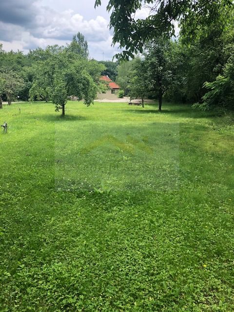 Reședință exclusivistă cu deschidere la Lacul Scroviștea — fotografia 27