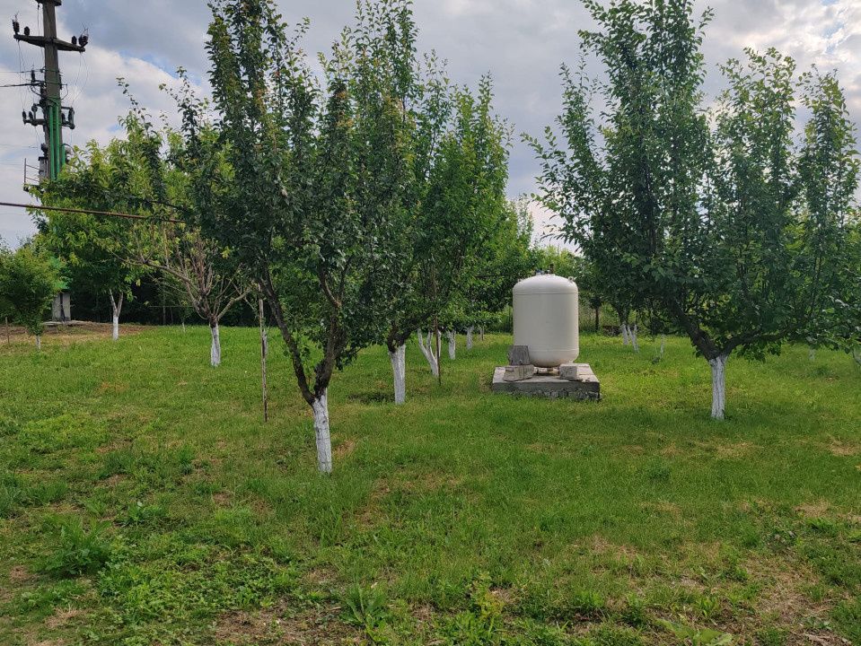 Imobil rezidential nou, Cretesti, Vaslui, teren 4800 mp — fotografia 13