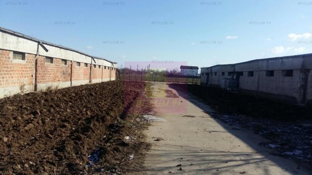 Teren Balotesti- Saftica- ideal pentru constructie locuinte. — fotografia 3
