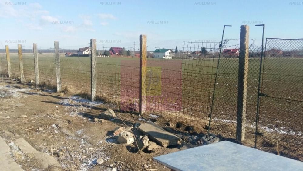 Teren Balotesti- Saftica- ideal pentru constructie locuinte. — fotografia 5