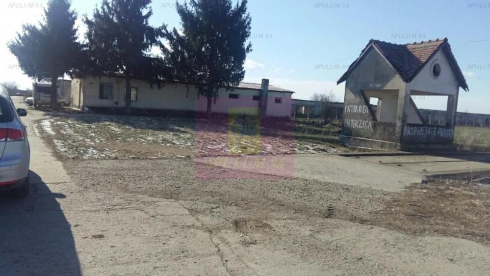 Teren Balotesti- Saftica- ideal pentru constructie locuinte. — fotografia 6