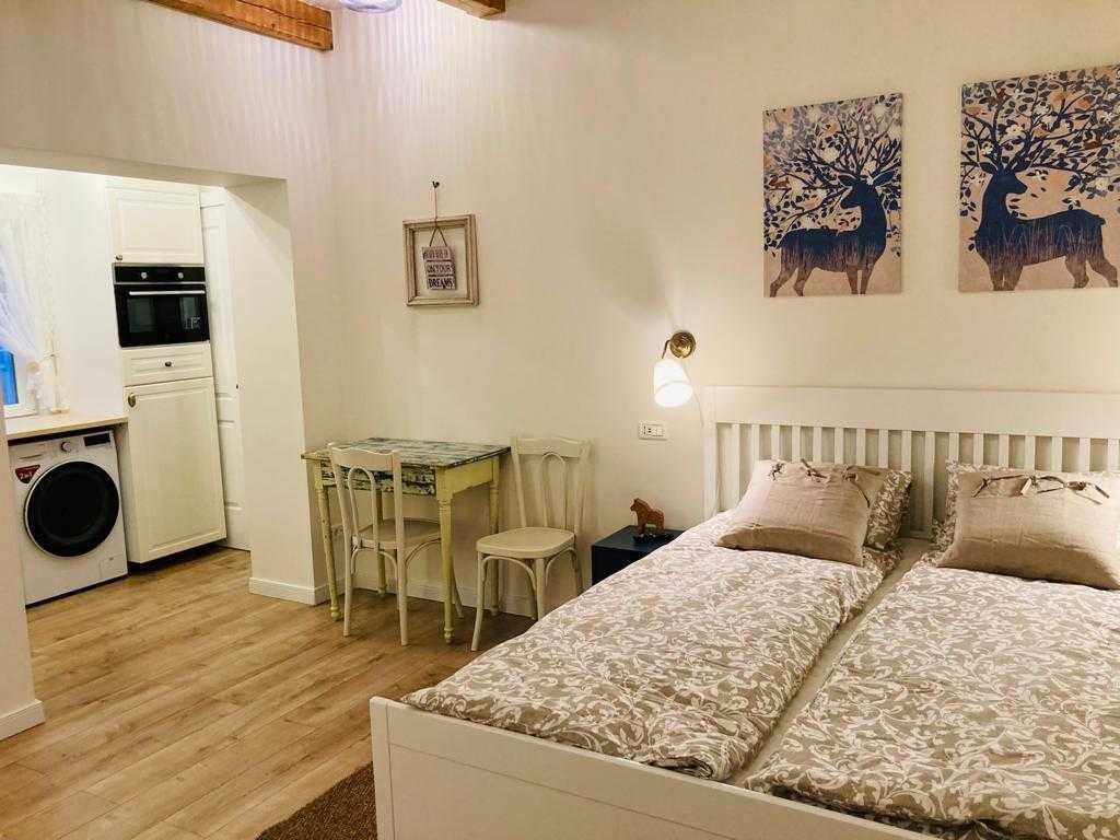 Cladire cu 2 studiouri Cluj-Napoca, Strada Horea – ideală investiție — fotografia 3