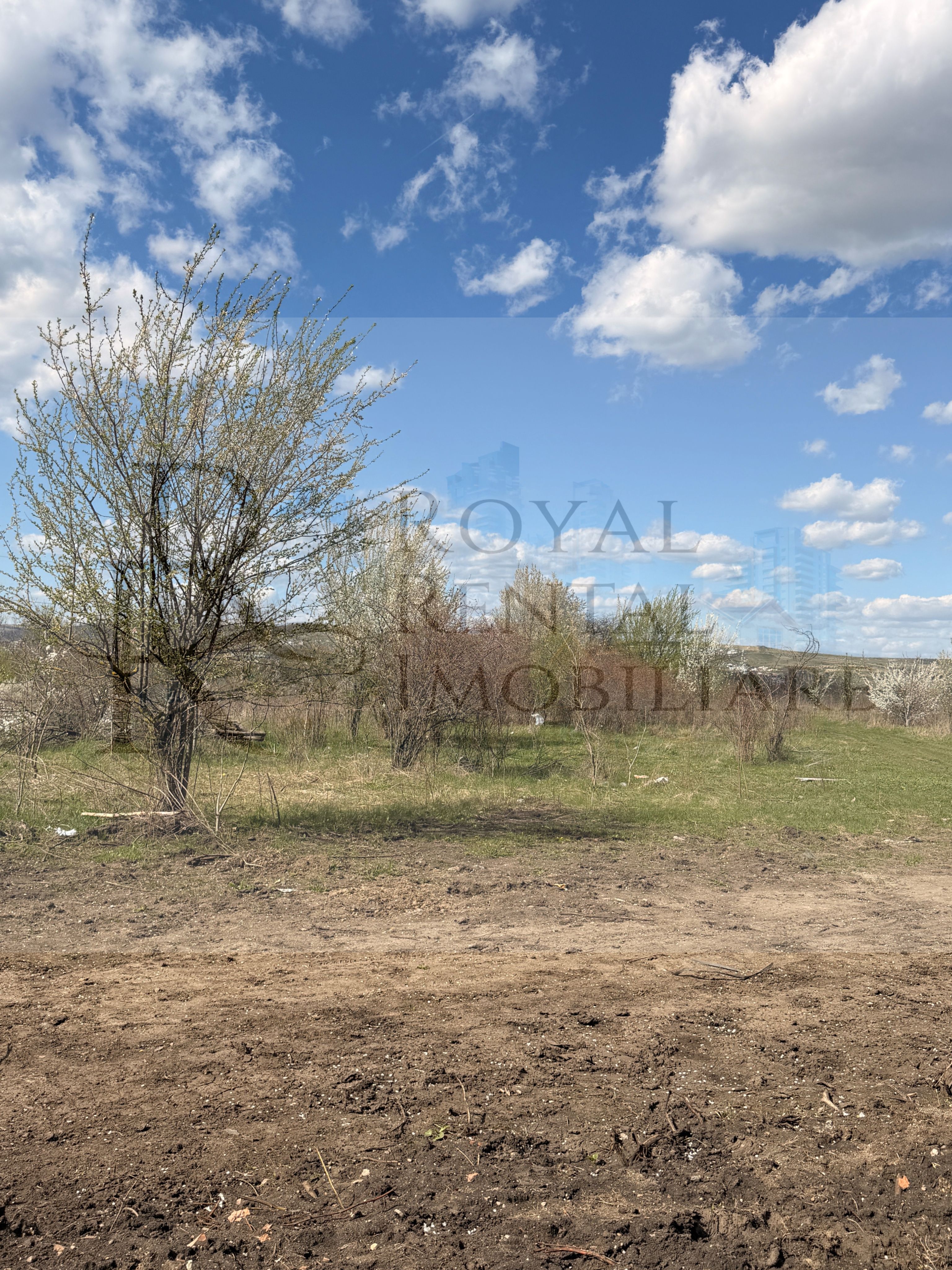 Teren situat în Sopor 5800 mp | Intravilan | Iulius Mall — fotografia 6