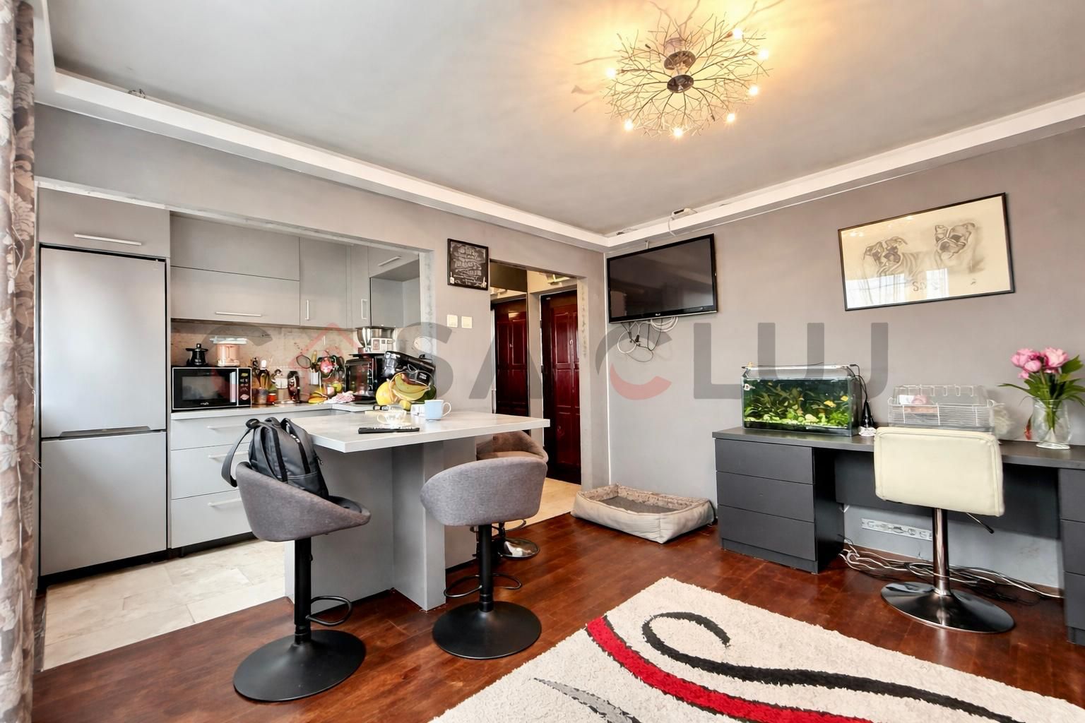 3 camere semidecomandate, la cheie, Grigore Alexandrescu — fotografia 4