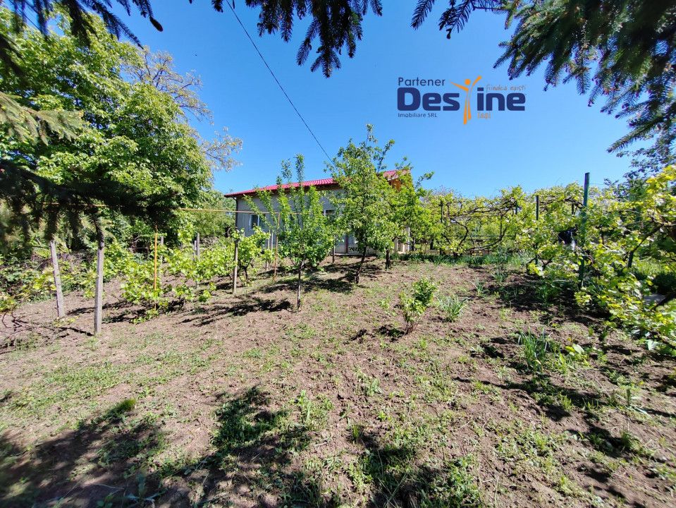 Casă individuală P+M, 164 mp utili + 1062 mp teren, COPOU — fotografia 4
