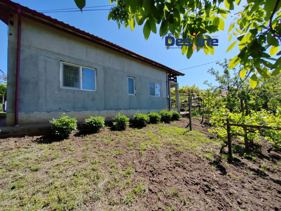 Casă individuală P+M, 164 mp utili + 1062 mp teren, COPOU — fotografia 7