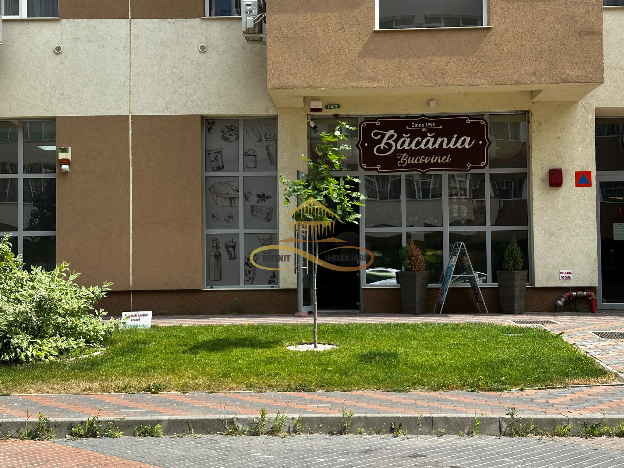 Spatiu comercial de inchiriat FIALD Bacau — fotografia 7