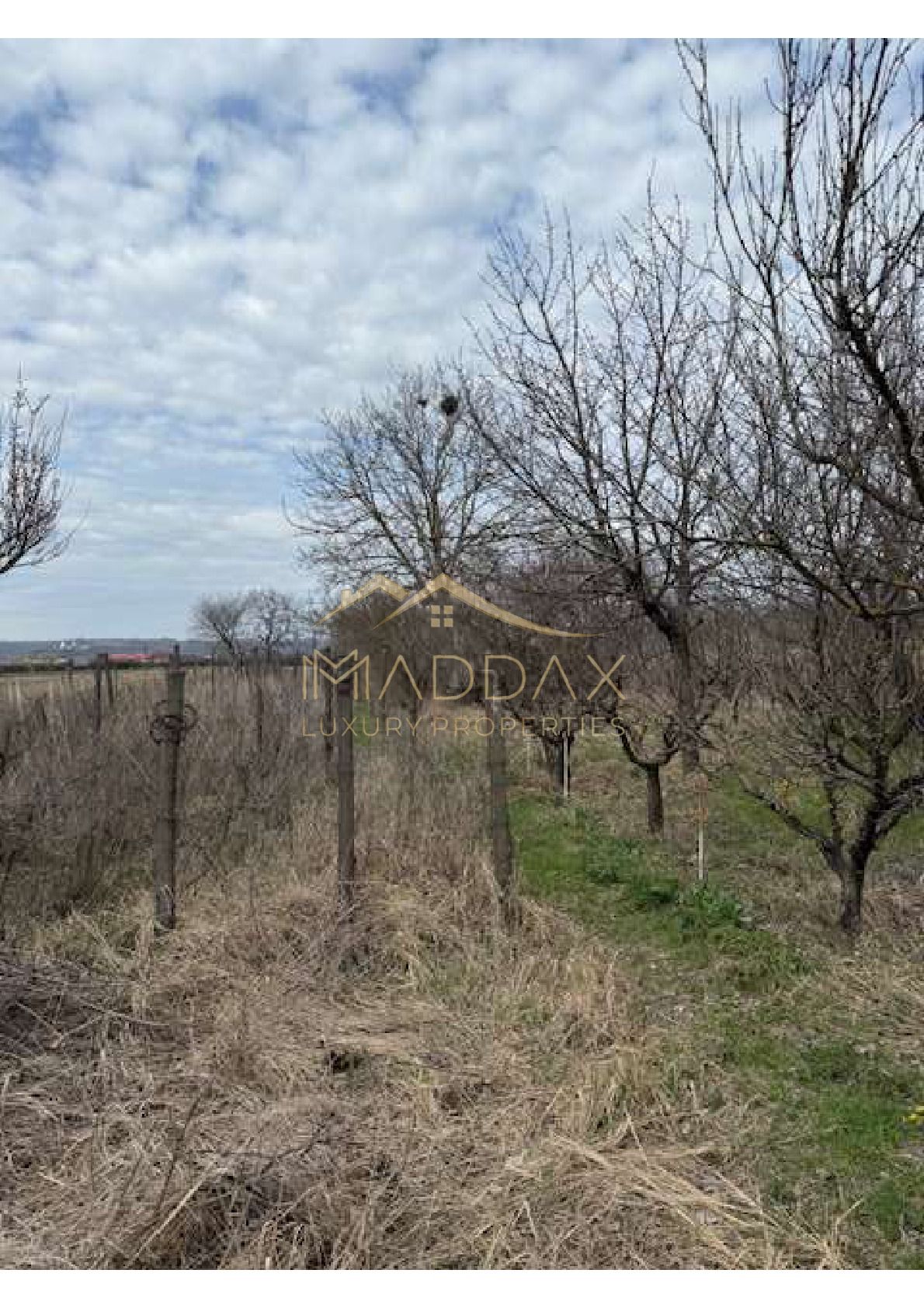 Teren intravilan 4.803 mp cu casă și anexe – Drăgășani, zona viticolă — fotografia 3