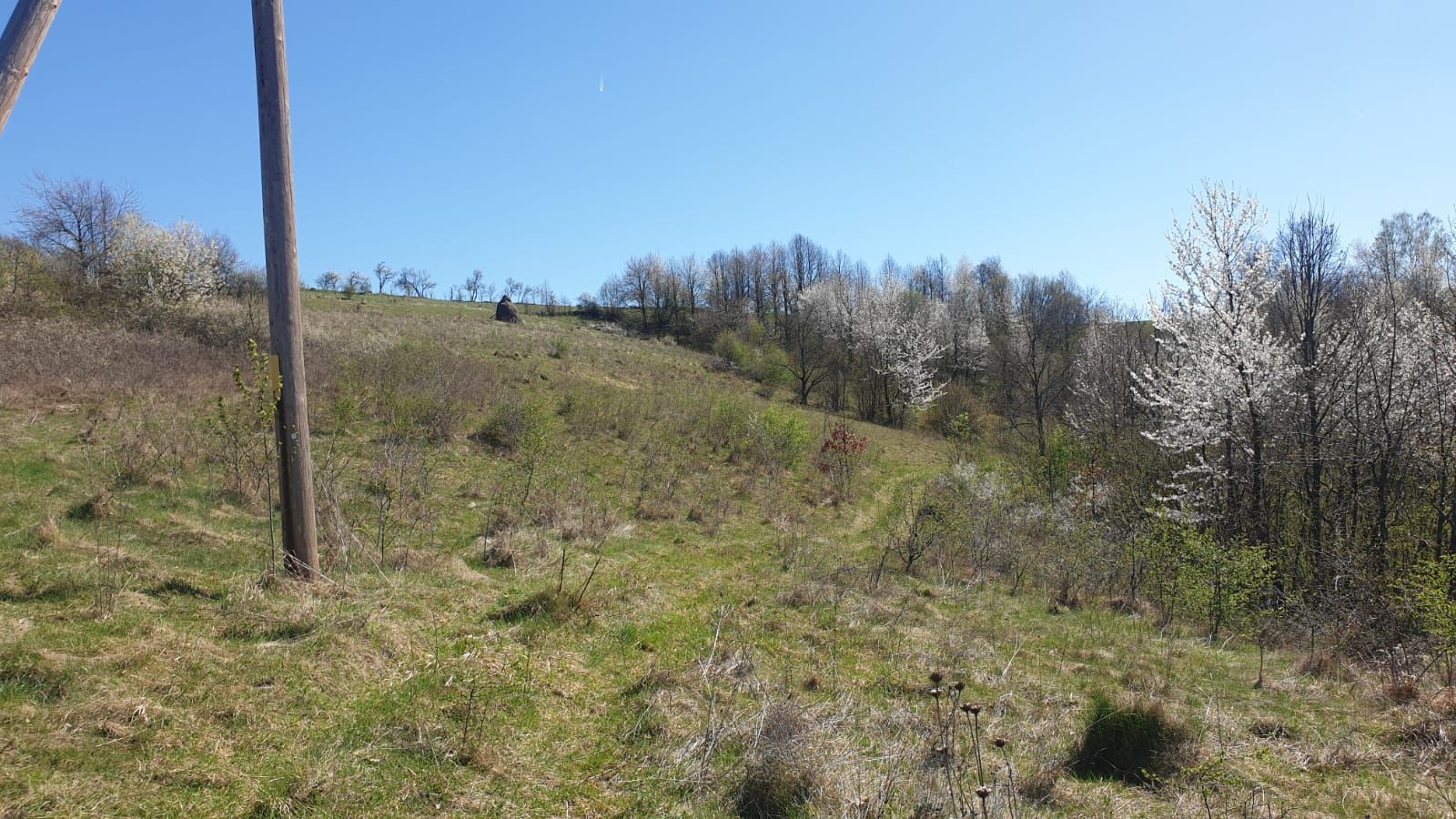 Teren cu panoramă fabuloasă, 10.059 mp, Roșia. 19.000 EUR. Comision 0 — fotografia 5