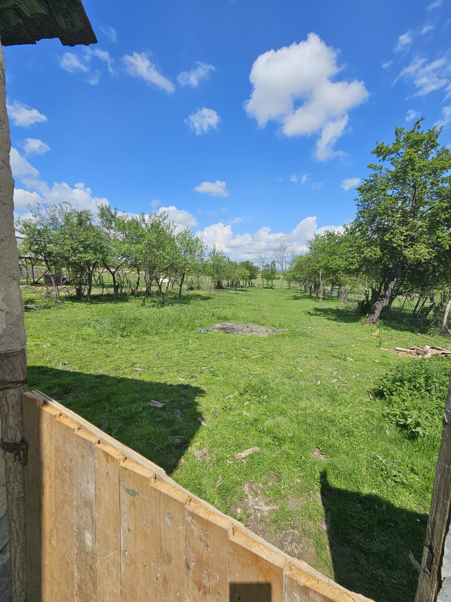 Casa la tara in Rogoz, Bihor, teren 1427 mp, acces auto - Vanzare — fotografia 6