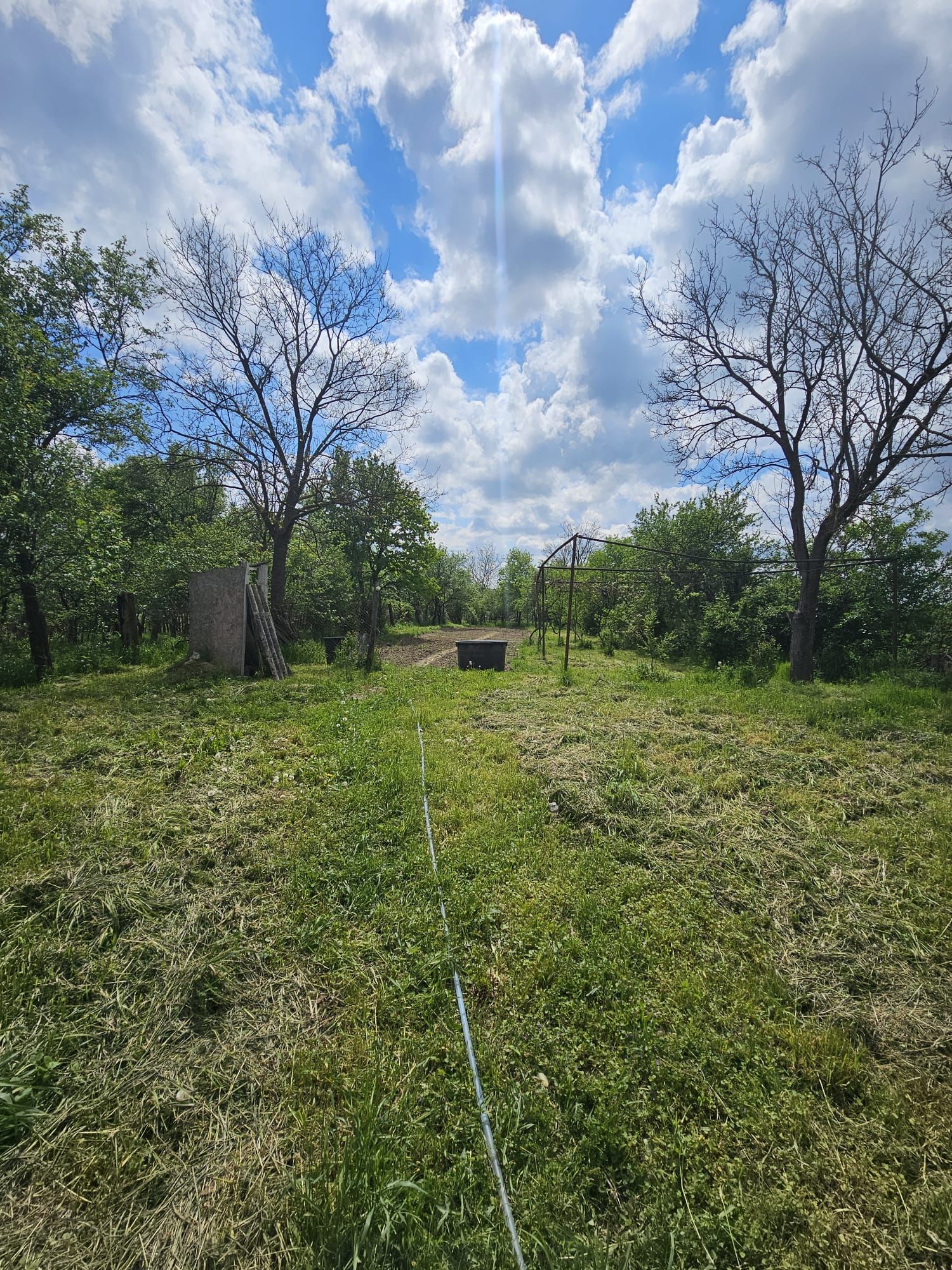 Casa la tara in Rogoz, Bihor, teren 1427 mp, acces auto - Vanzare — fotografia 8