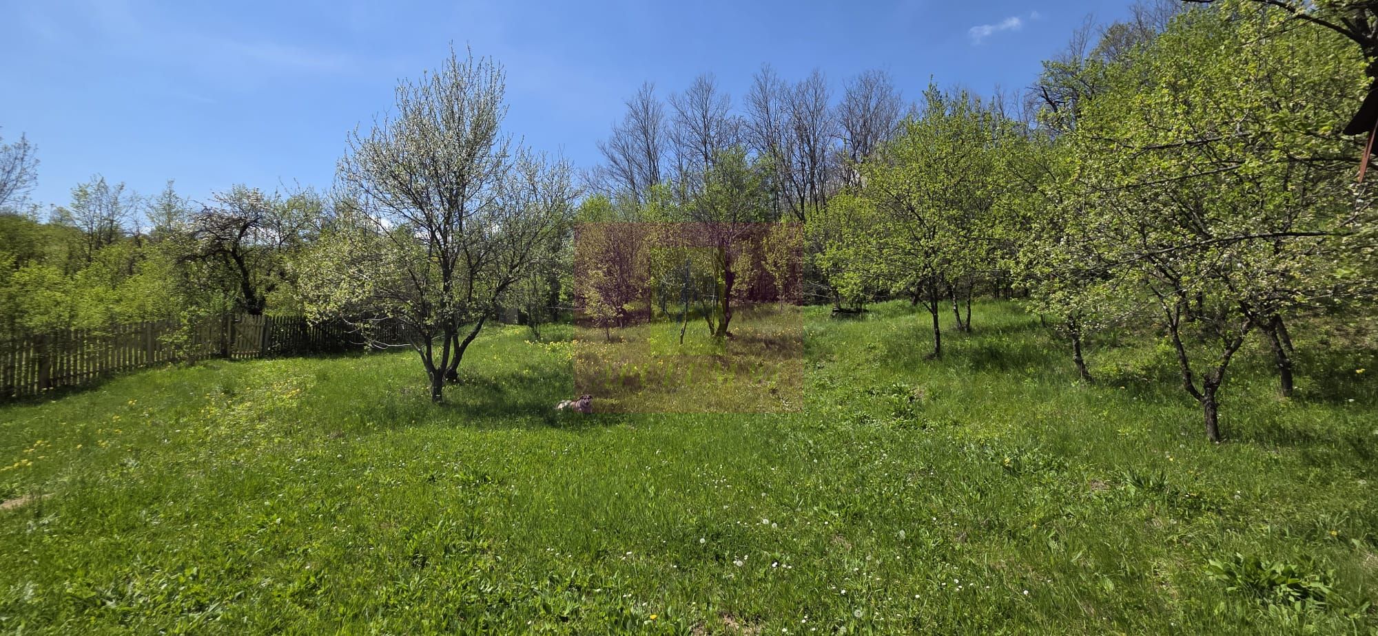 Teren cu Casuta de lemn in Sotrile (langă Valea Doftanei) — fotografia 4