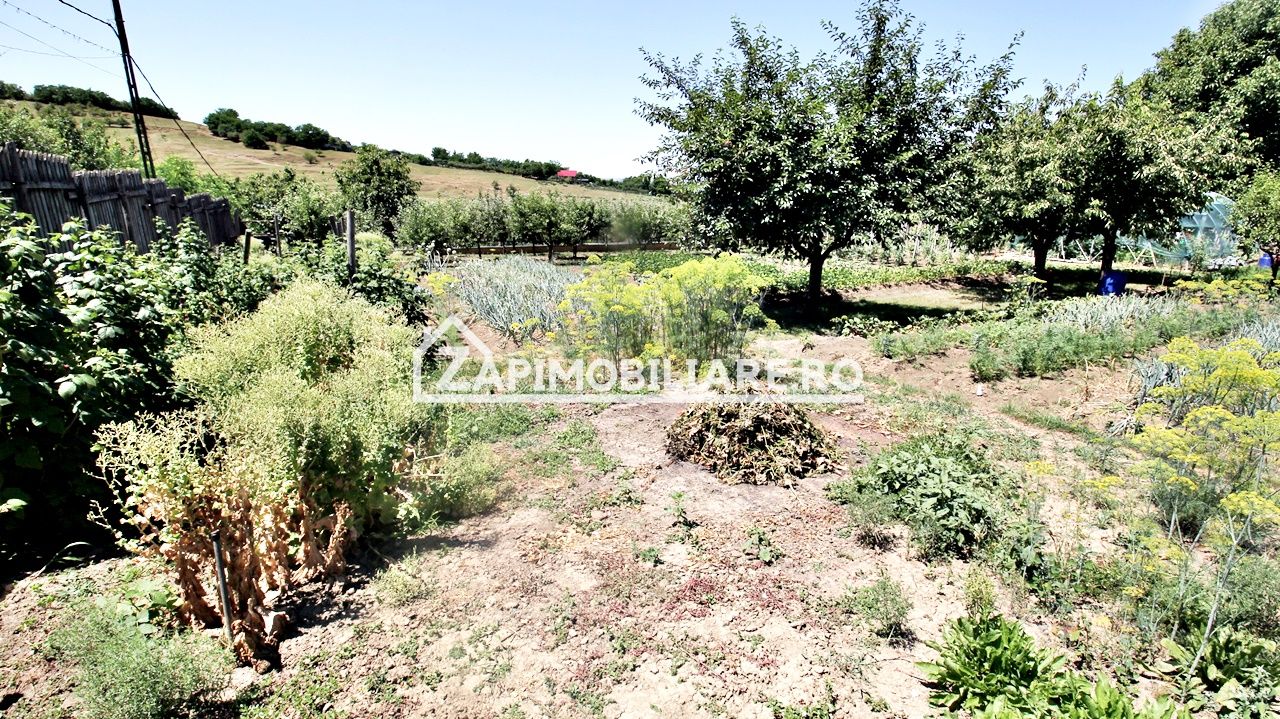 Teren intravilan 1.300 mp.zona Belvedere Targu Mures — fotografia 11