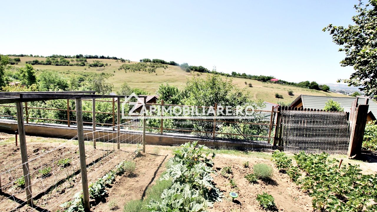 Teren intravilan 1.300 mp.zona Belvedere Targu Mures — fotografia 12