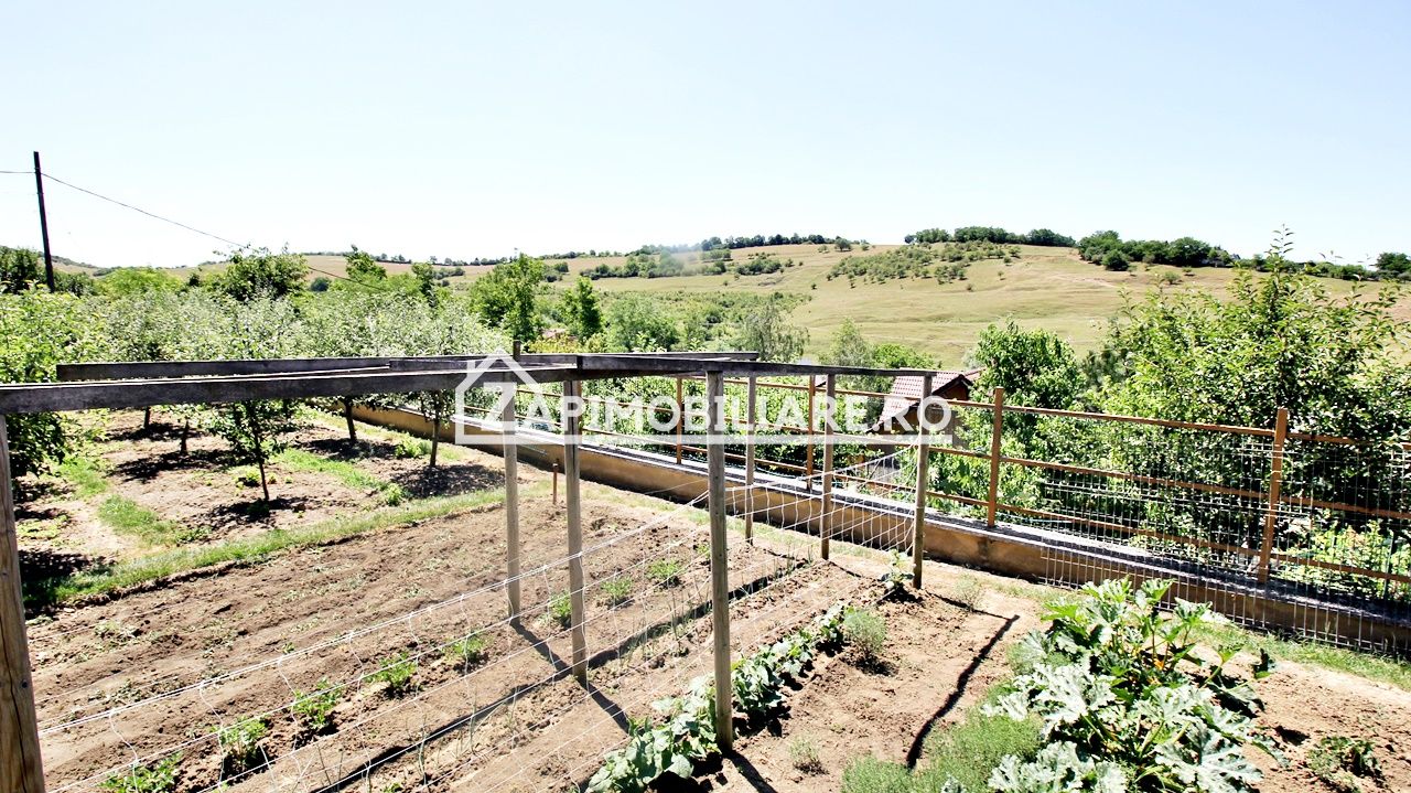 Teren intravilan 1.300 mp.zona Belvedere Targu Mures — fotografia 13