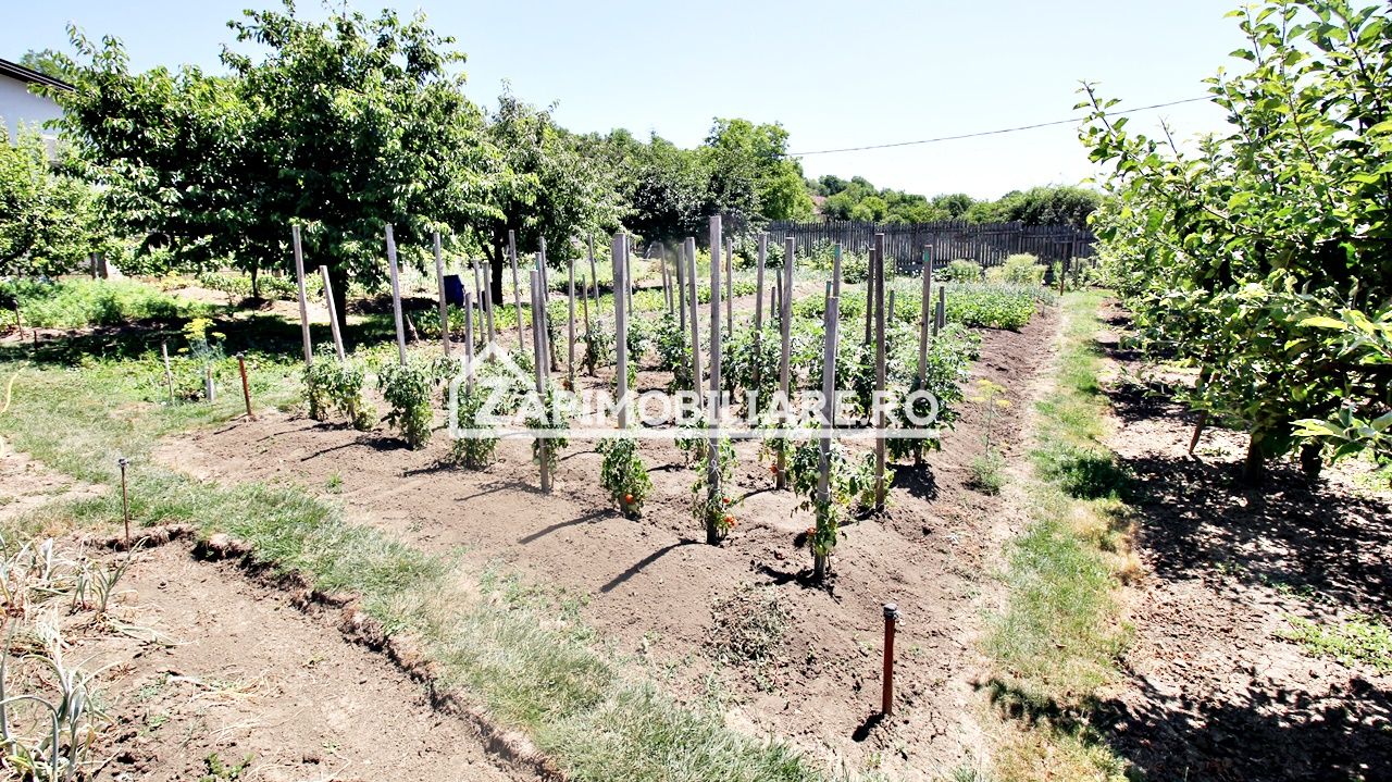 Teren intravilan 1.300 mp.zona Belvedere Targu Mures — fotografia 3