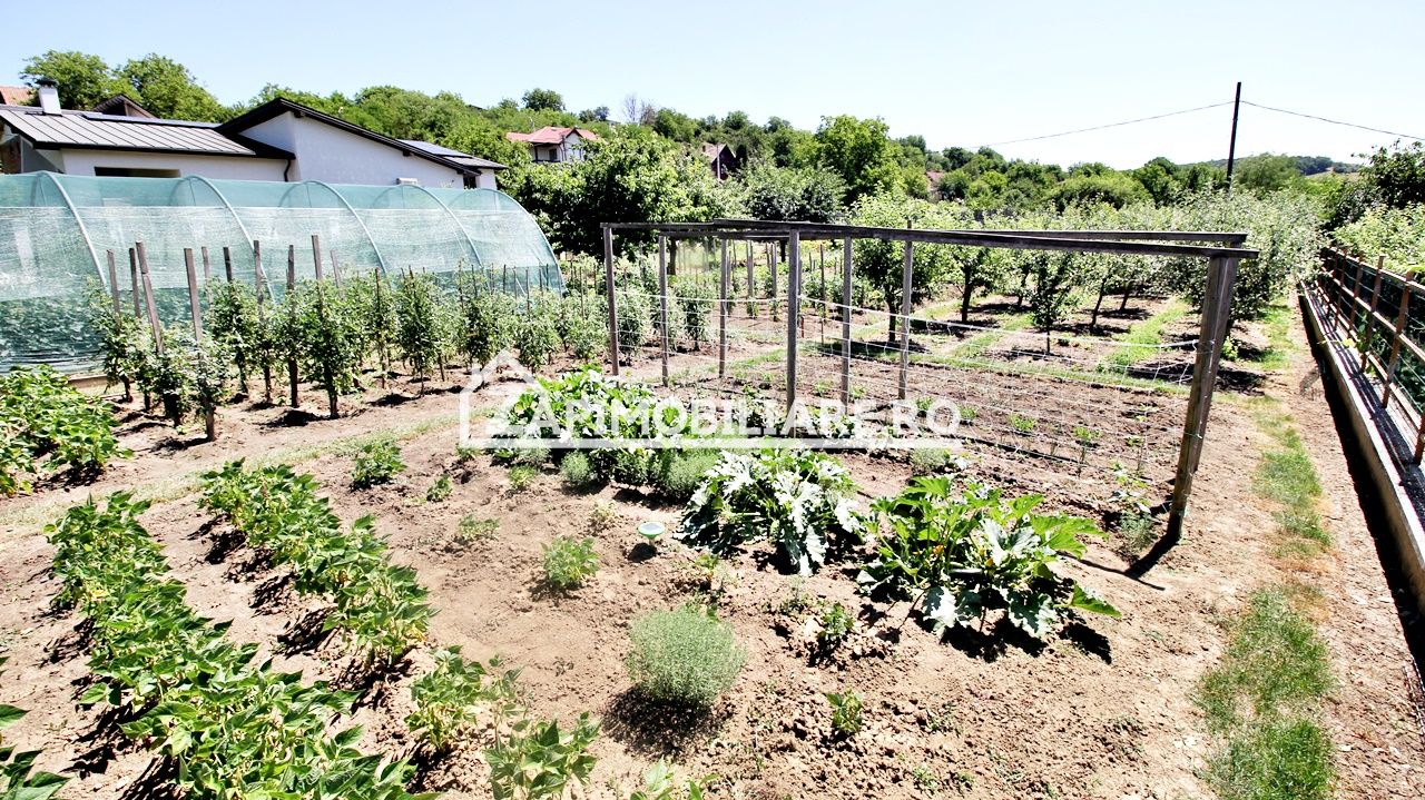 Teren intravilan 1.300 mp.zona Belvedere Targu Mures — fotografia 4