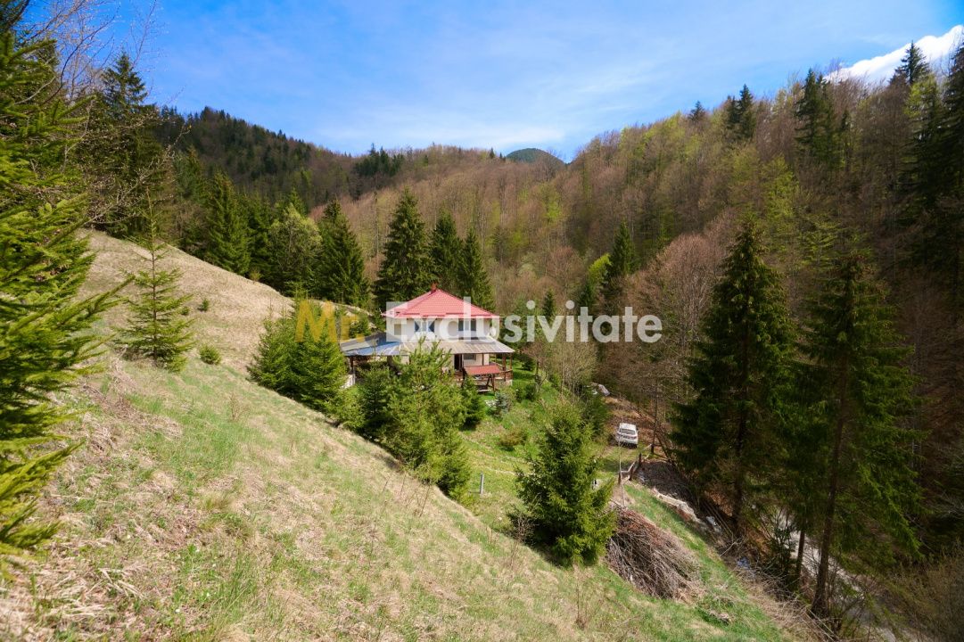 Casa Dambovicioara - CASA de vacanta sau PENSIUNE profitabila — fotografia 10