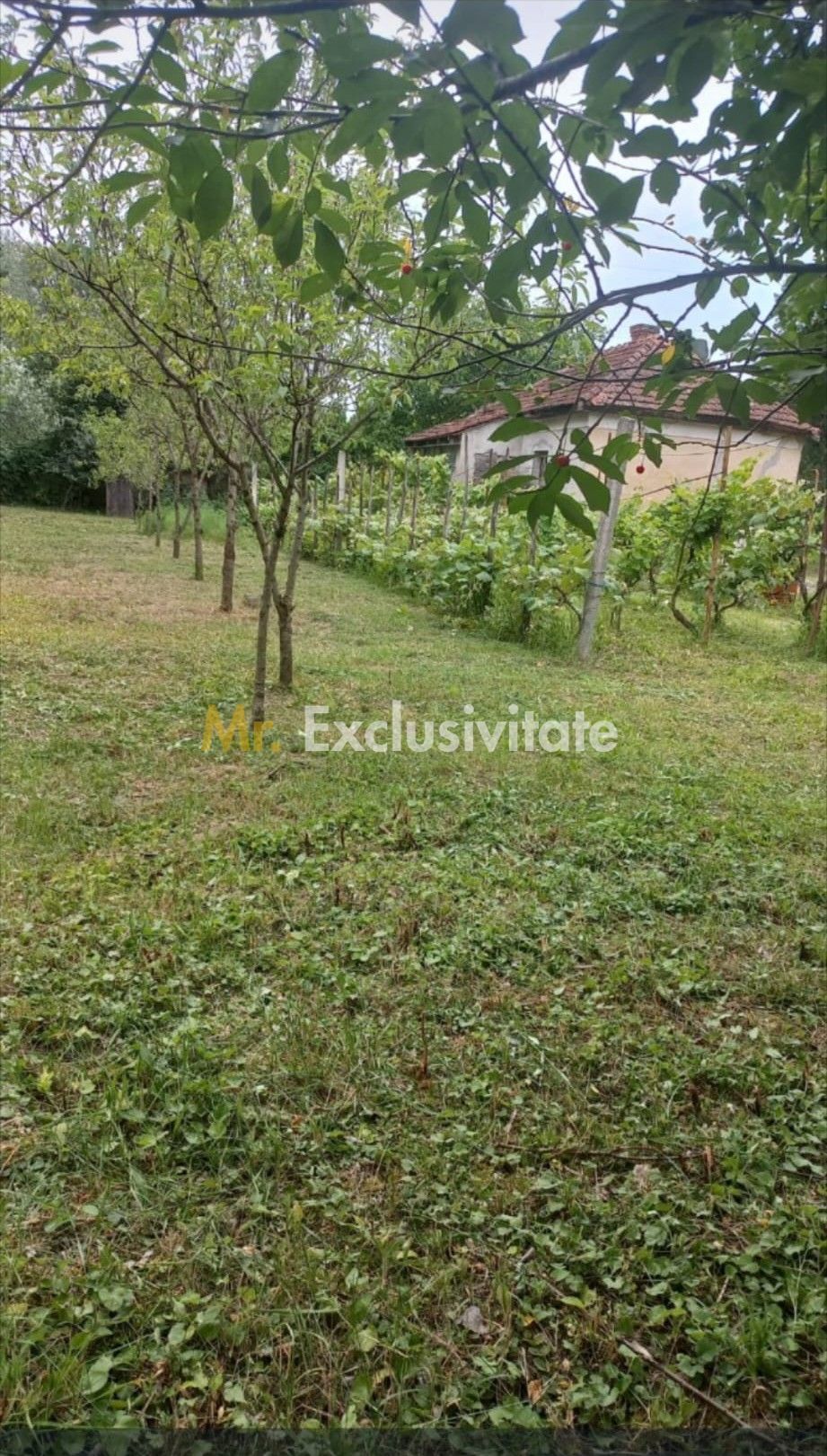 Teren 36 Ari intravilan Zona Strandului — fotografia 3