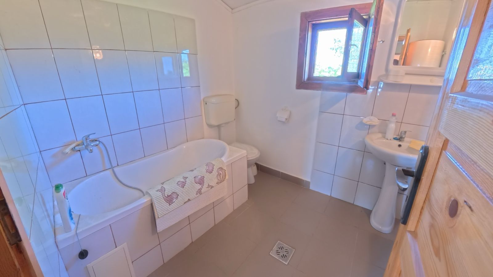 Casă cu 3 dormitoare și teren de 4.836 mp, Viile Satu Mare — fotografia 7