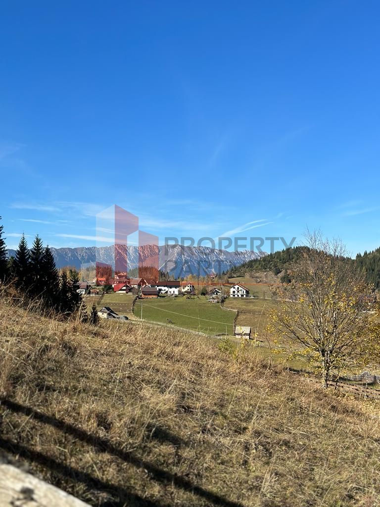 Teren Fundatica intravilan 4500 mp — fotografia 6