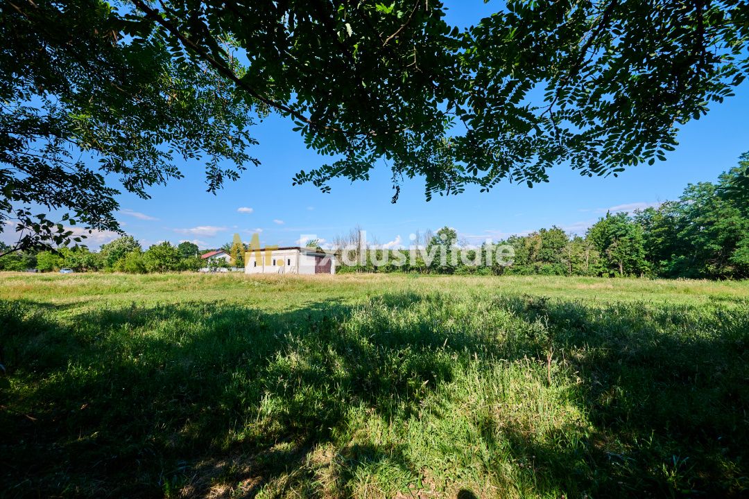 Teren Intravilan 1100 mp + Anexă 120 mp - Budeasa, Calotesti! — fotografia 3