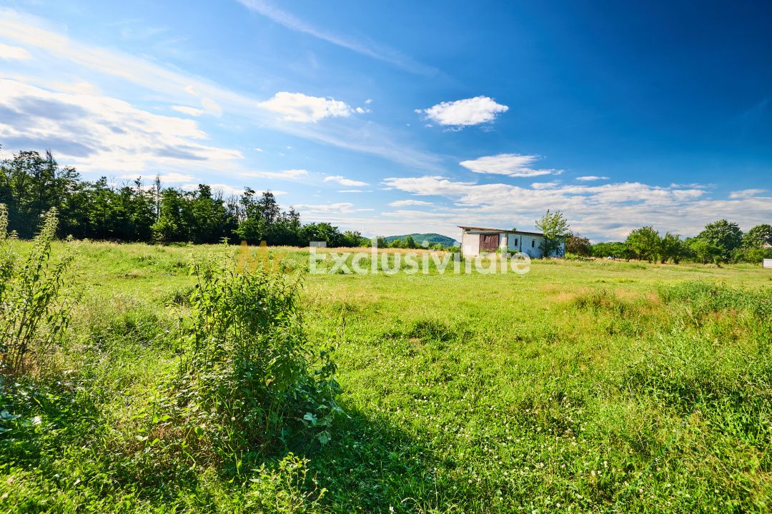 Teren Intravilan 1100 mp + Anexă 120 mp - Budeasa, Calotesti! — fotografia 9
