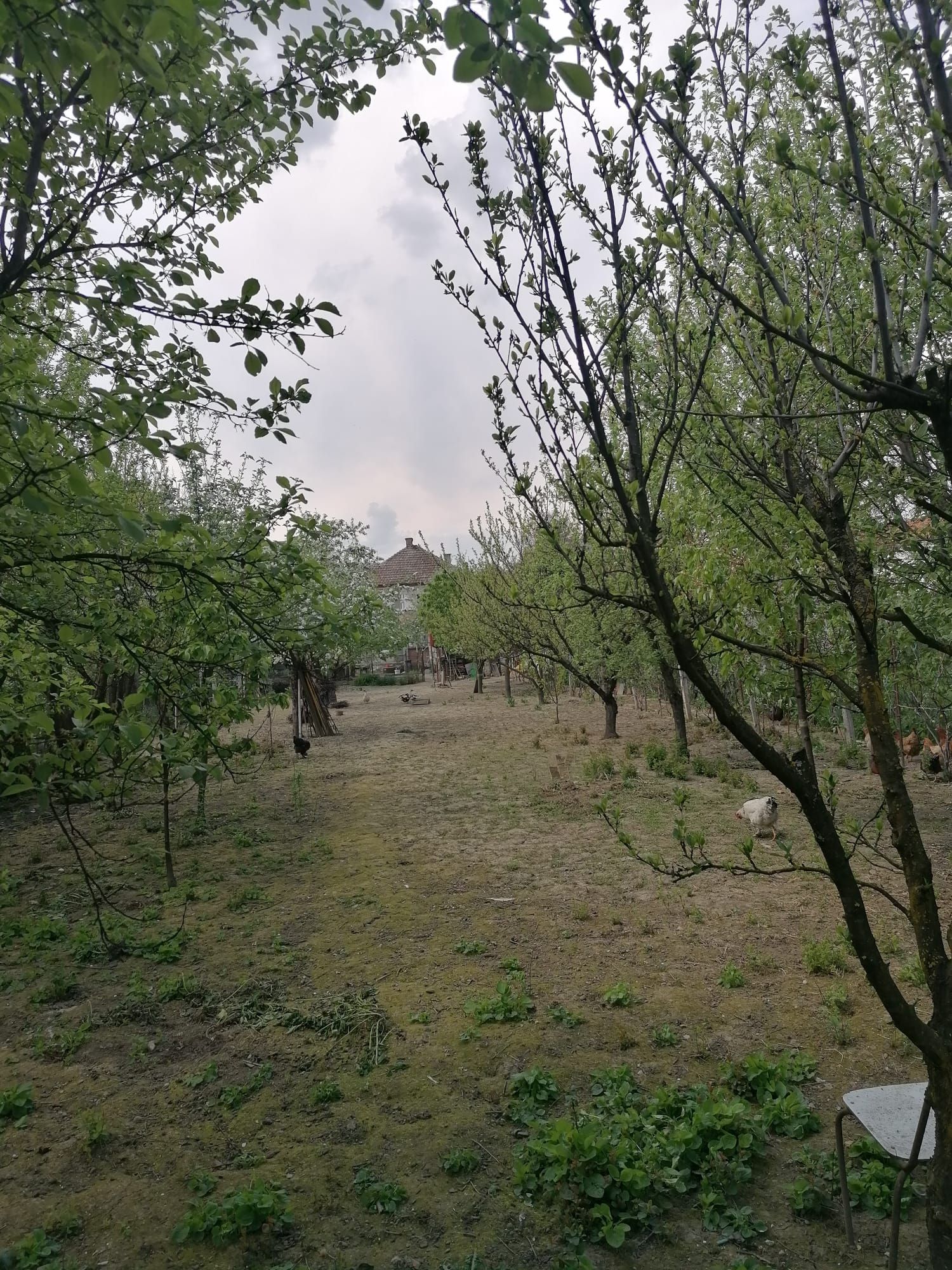 Ag EUROPA vinde casa 6 cam teren 11 ari în zona 14 Mai. — fotografia 4