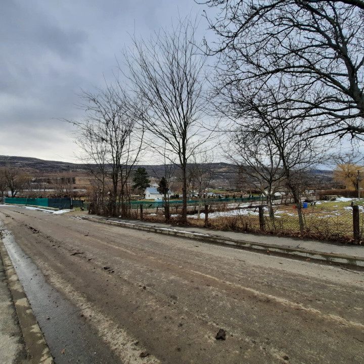 Oportunitate de investitie, teren intravilan Husi, 10435 mp — fotografia 8