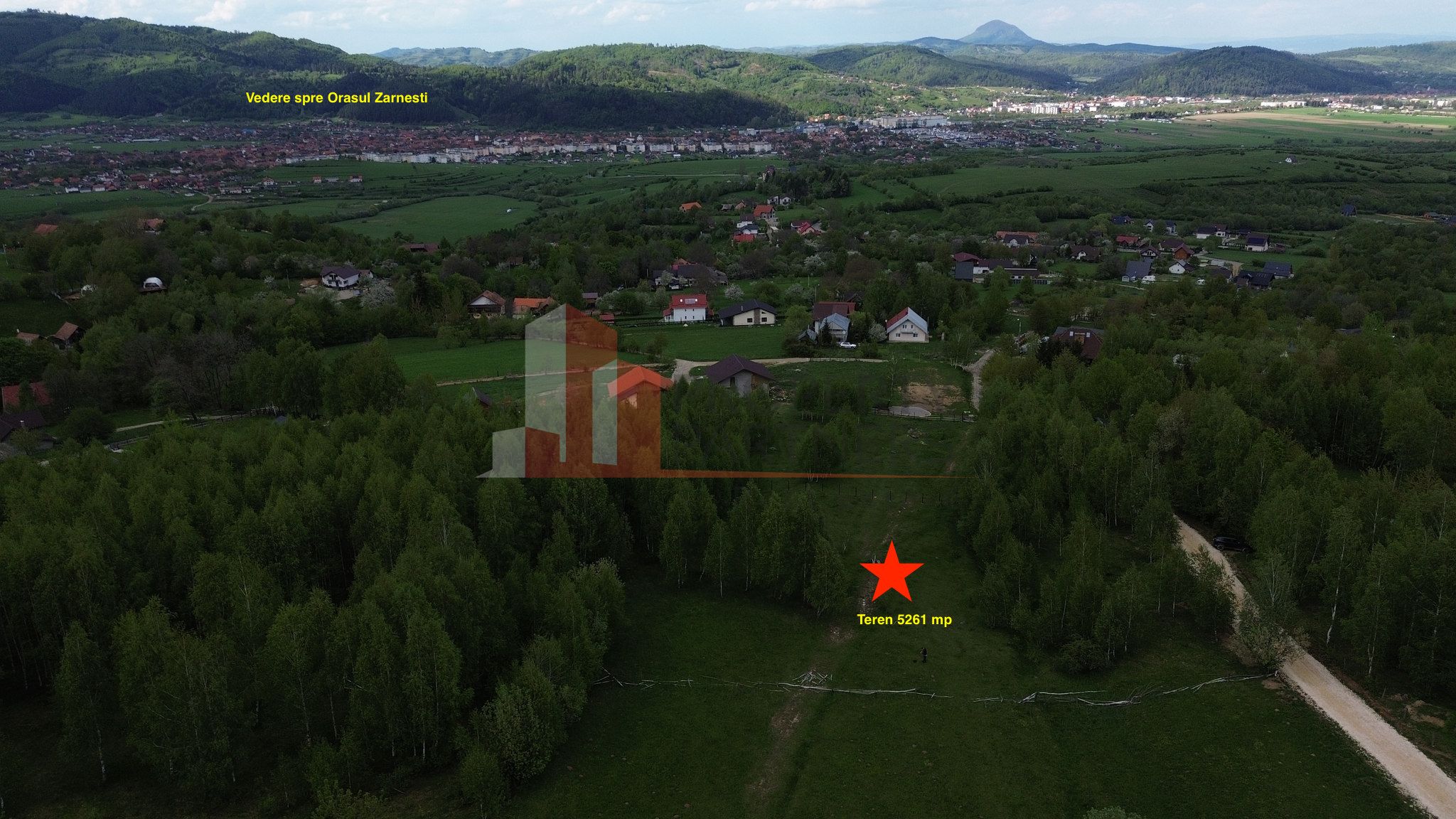 Teren intravilan 5.261 mp Tohănița | Deschidere 49 m | Utilități, lângă pădure — fotografia 3
