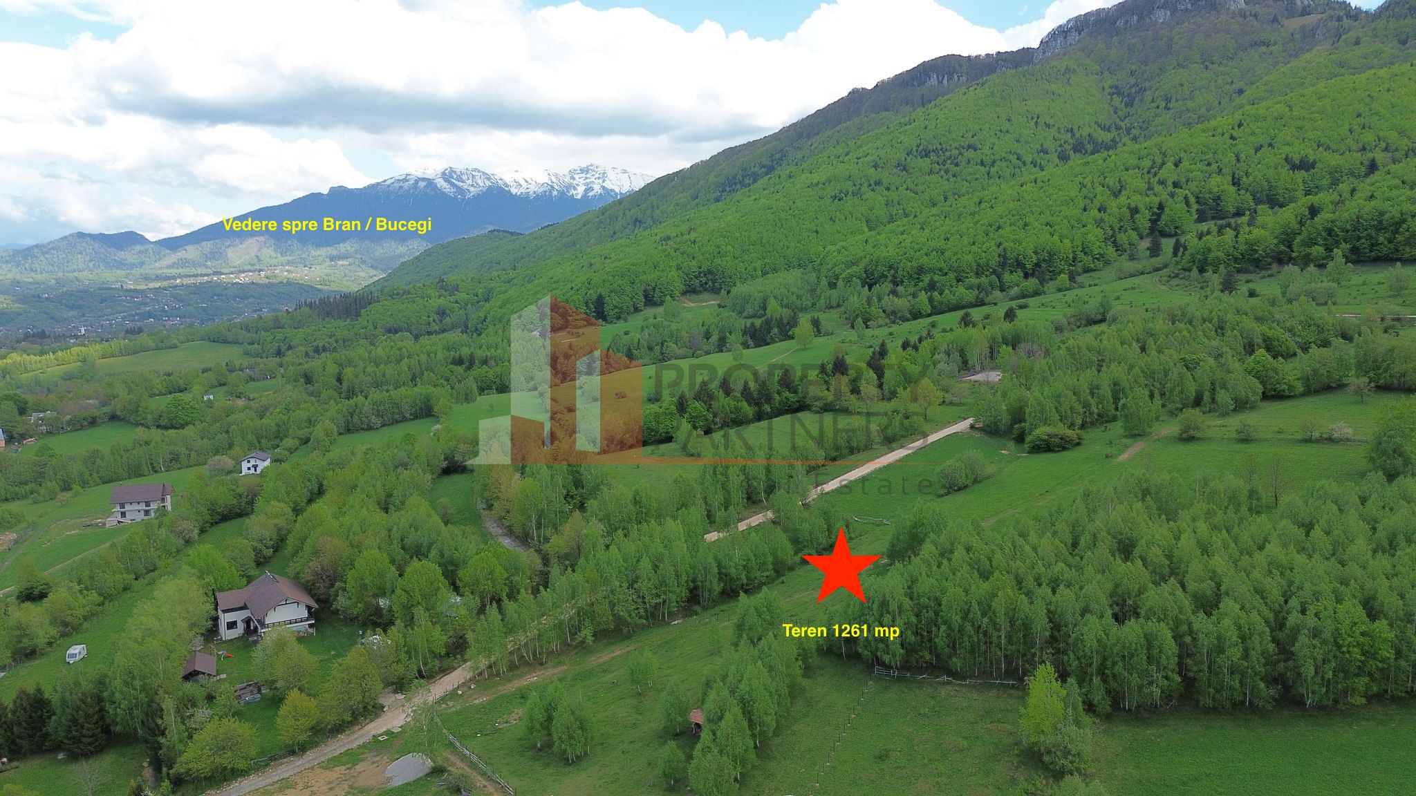 Teren intravilan 5.261 mp Tohănița | Deschidere 49 m | Utilități, lângă pădure — fotografia 5