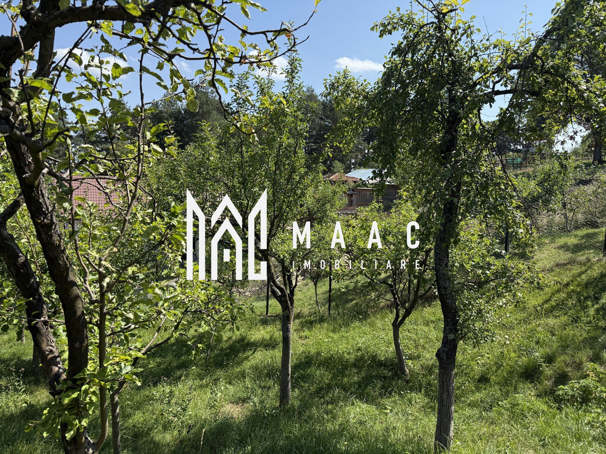 Casă  I Teren 1550 mp I Sat Vale I Mărginimea Sibiului — fotografia 3