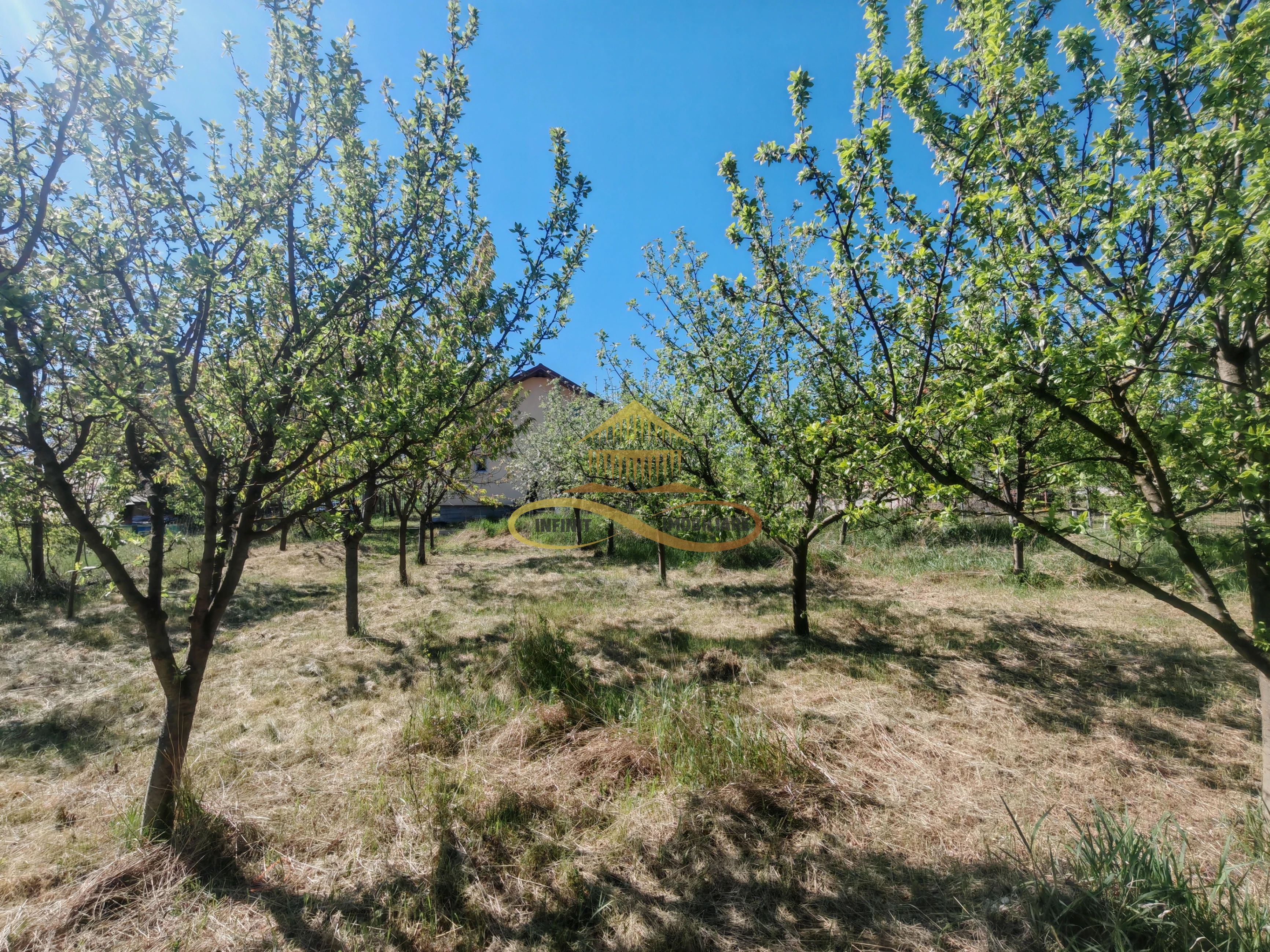 De vânzare: Casa noua si 1 ha teren la doar 30 minute de Bacău — fotografia 2