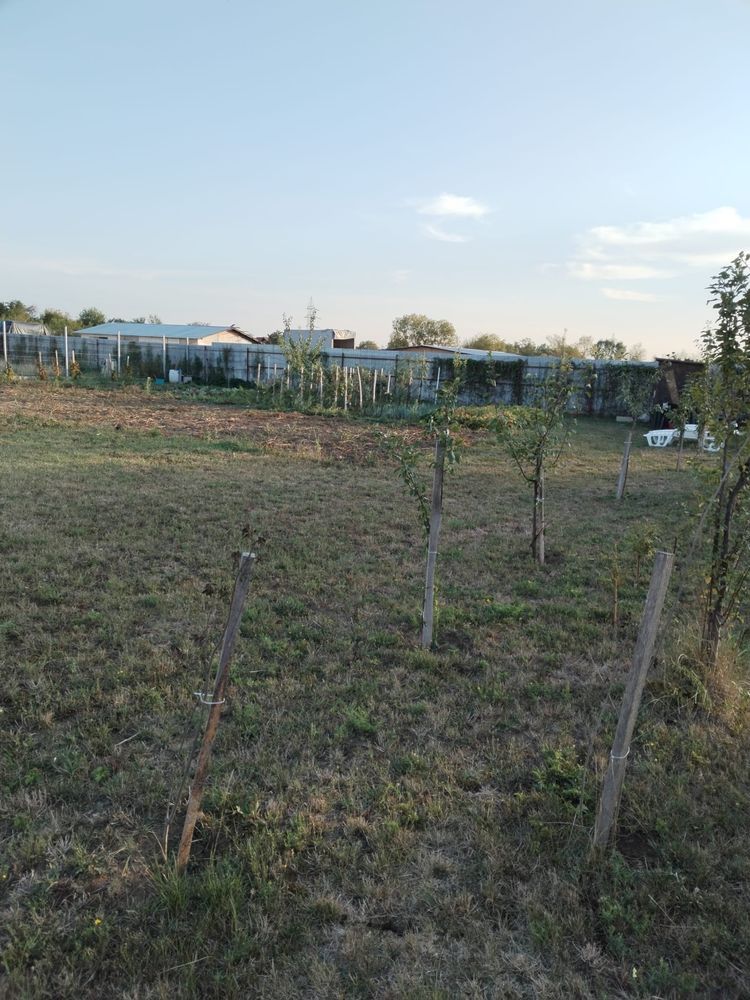Vand teren intravilan Balta Blonda — fotografia 3