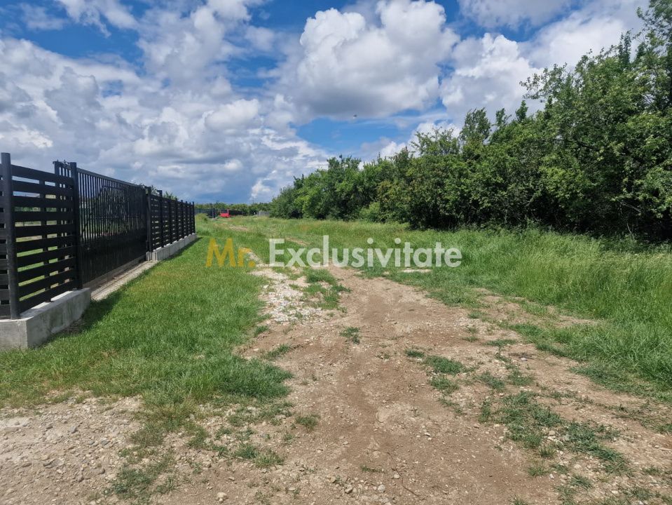 0% Comision!!! Teren intravilan Smeura - str Prunilor! — fotografia 4