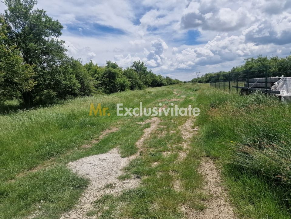 0% Comision!!! Teren intravilan Smeura - str Prunilor! — fotografia 6