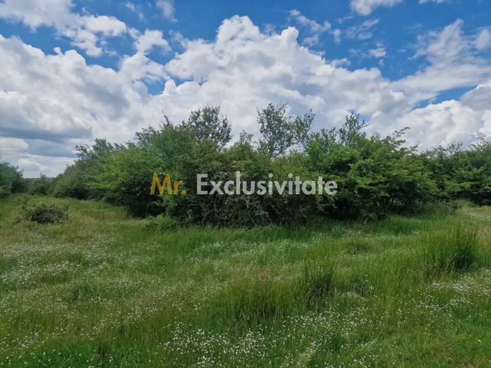 0% Comision!!! Teren intravilan Smeura - str Prunilor! — fotografia 8