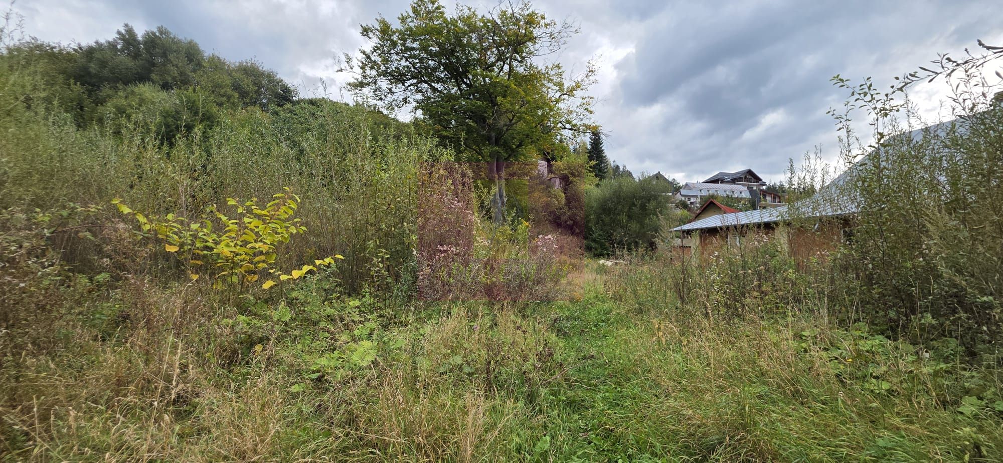 Cabana de vânzare în Bușteni – vedere spre Caraiman și 650 mp de teren — fotografia 5