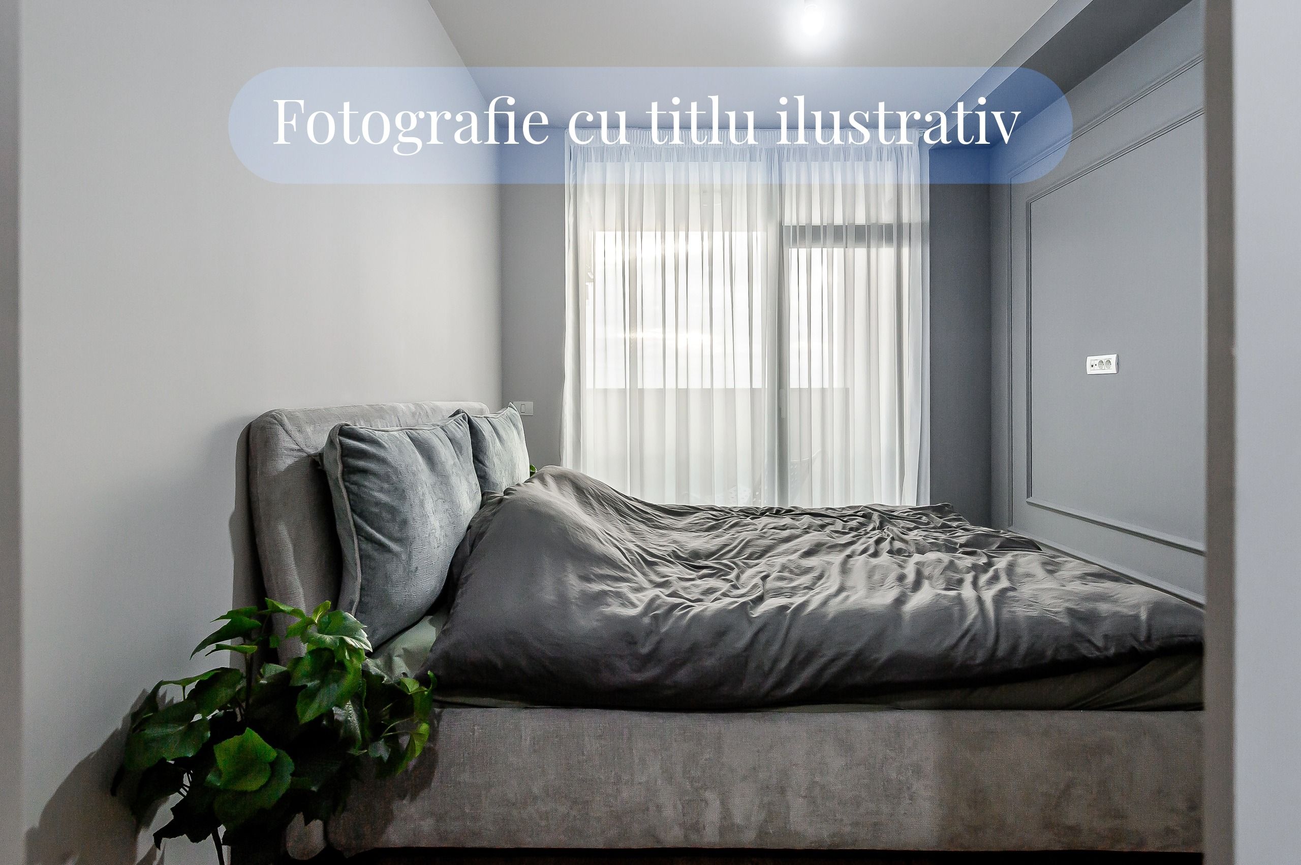 Apartament premium  X-City - direct de la dezvoltator — fotografia 4
