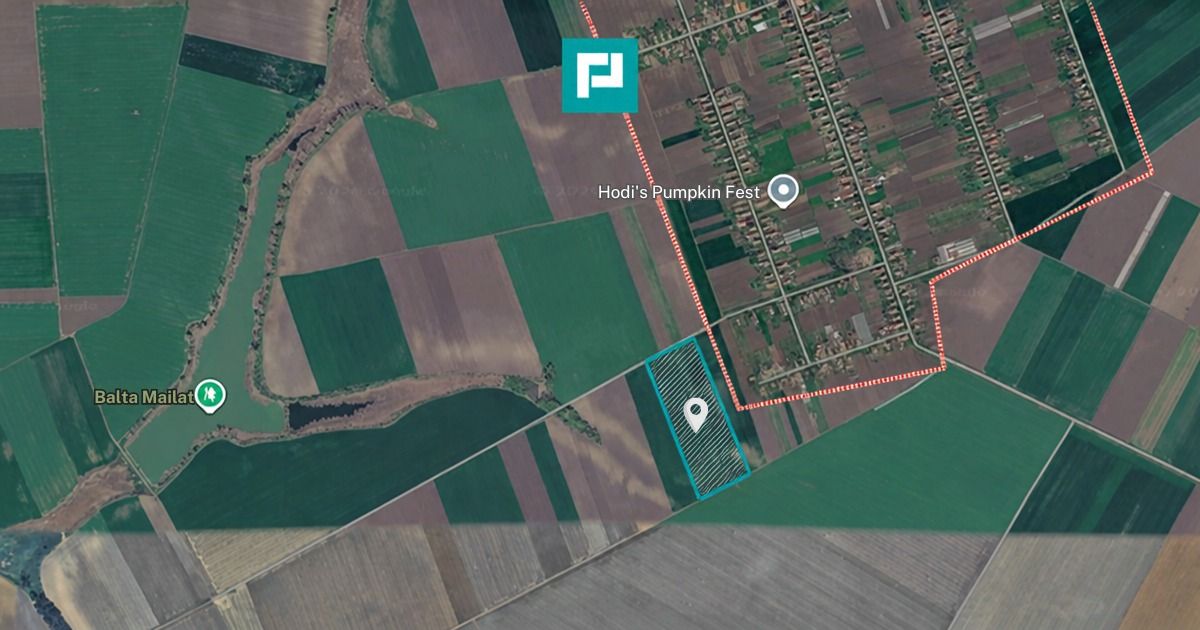 Teren de 8600 Mp2, agricol extravilan, Mailat — fotografia 3