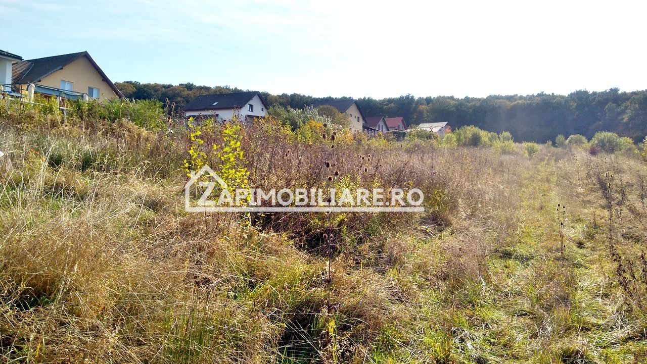 10 parcele teren intravilan intre 450 mp, și 617 mp  Corunca — fotografia 4